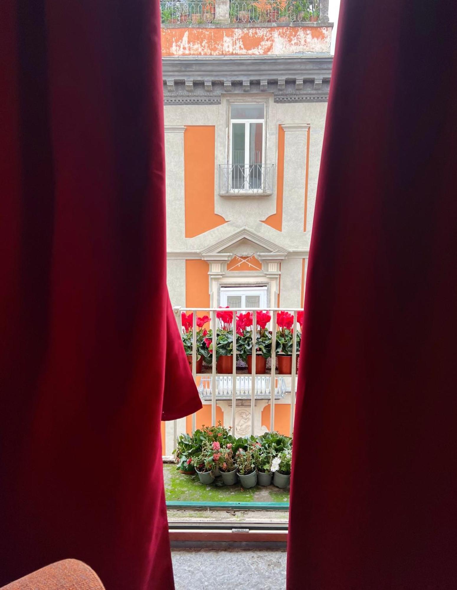 Ann' Amari Amaranto * Naples